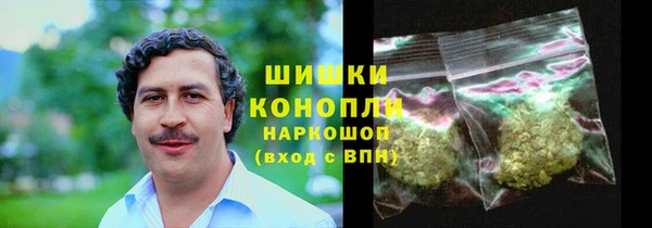 spice Богородицк