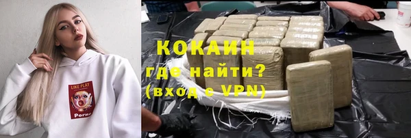 spice Богородицк