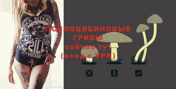 spice Богородицк