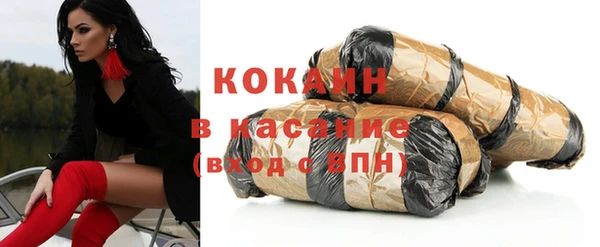 spice Богородицк