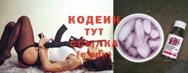 таблы Бородино