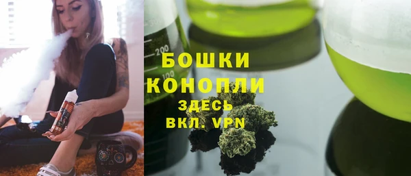 молекула духа Лабытнанги