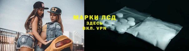spice Богородицк