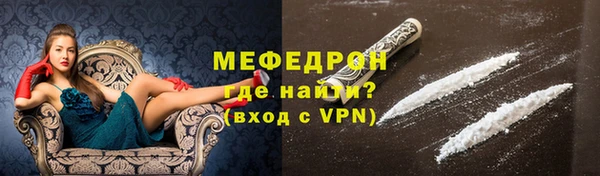 spice Богородицк